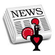 Nando's News